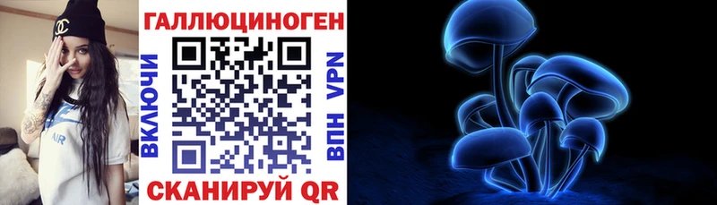 гидра вход  Ясногорск  Галлюциногенные грибы Psilocybe 